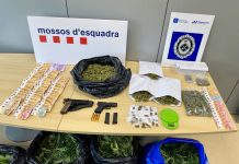 Mossos y Policia Local desmantelan 4 plantaciones de marihuana en un mismo edificio en El Prat