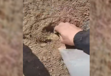 Detenidos dos traficantes que escondían droga para captar clientes en El Prat