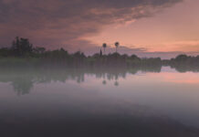 Decididas las fotografías ganadoras del 32 Concurso Fotográfico Delta del Llobregat