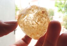 Laboratorio de cápsulas del tiempo: proyecto ganador de la beca /UNZIP ‘Art al barri’