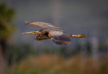Ya se conocen las fotografías premiadas en la 33 edición del concurso de fotografía Delta.