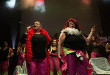 Academia de Cuplicist Shok the Box Room