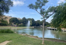 Ingrese a la orientación del lago Solidarity Park