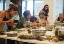 Un verano para aprender, crear y compartir en Palmira