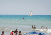 El agua en la playa de Prat mantiene una excelente calidad a pesar de las últimas lluvias