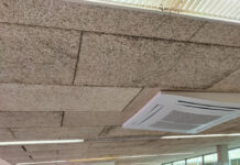 Abra la nueva llamada para el programa Sefed Lindar para jóvenes de 16 a 24 años