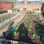 Los Servicios de Educación Ambiental apoyan los jardines de 600 m2 de los centros educativos