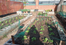 Los Servicios de Educación Ambiental apoyan los jardines de 600 m2 de los centros educativos