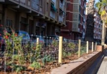 El Ayuntamiento renueva la vegetación de las calles Coronel Sanfeliu